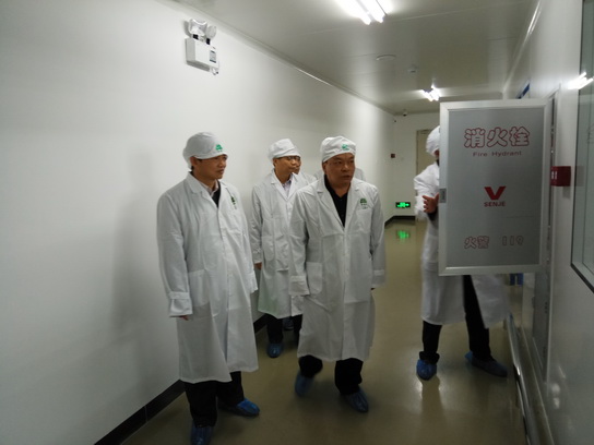 K8凯发(中国)天生赢家一触即发