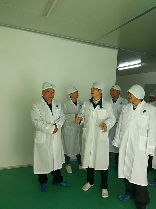 K8凯发(中国)天生赢家一触即发